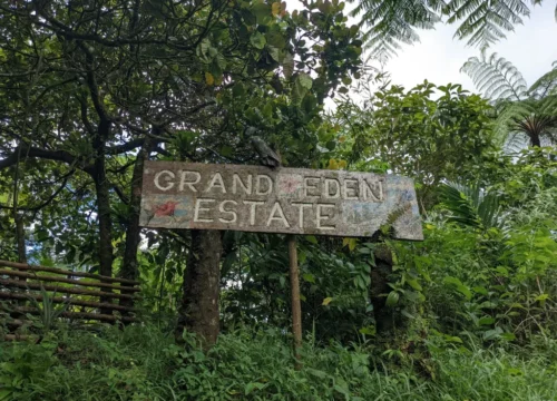 St Lucia taxi service