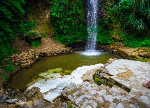 ML Taxi and Tours St Lucia