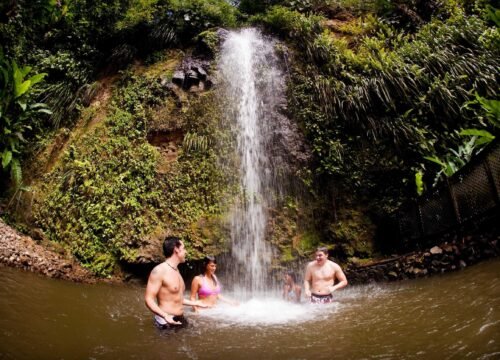 Best private tour company in St Lucia